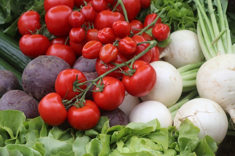 Va fi extins programul de finanţare pentru cei care cultivă legume în spaţii protejate