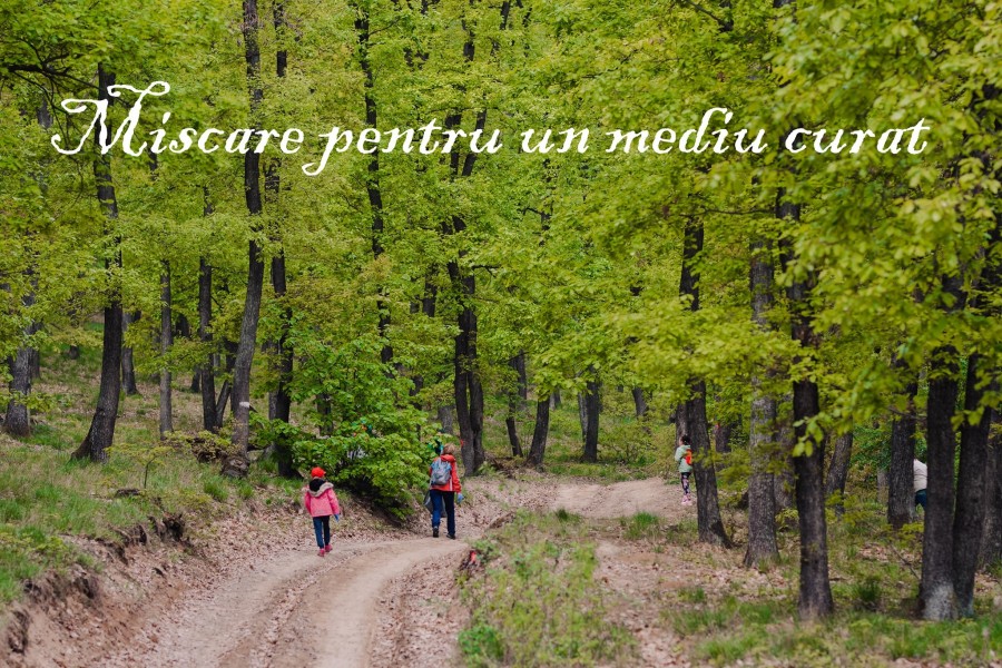 Regia Naţională a Pădurilor – Romsilva demarează campania „Mişcare pentru un mediu curat”