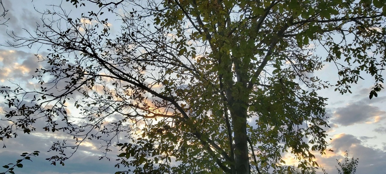 Vreme caldă în Transilvania