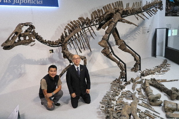 În Japonia a fost descoperită o nouă specie de dinozauri: „Kamuysaurus japonicus”