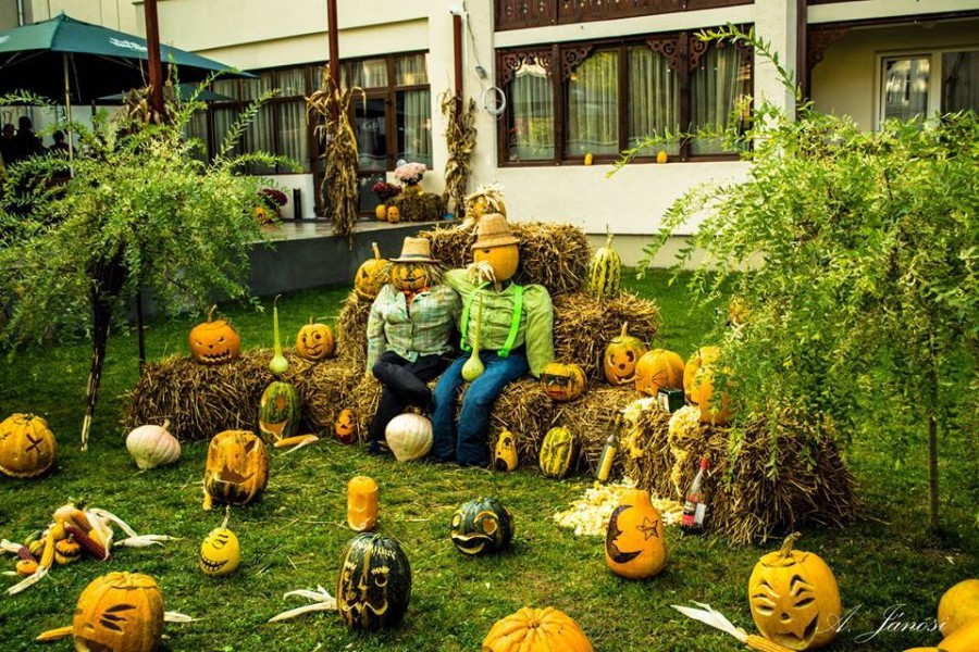 A început Festivalul Dovleacului de la Sovata! 3 Sud Est și No Sugar se numără printre invitați