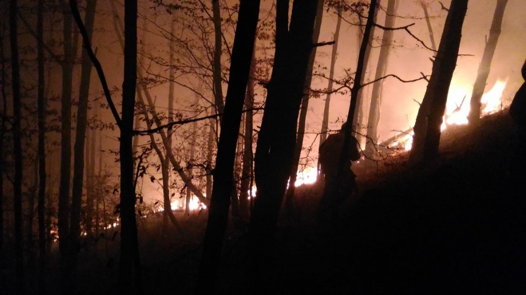 Incendiul din pădurea de lângă Cisnădie s-a extins