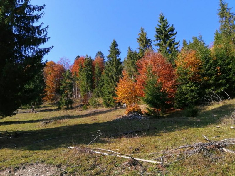 Vremea în Transilvania Vremea în Transilvania