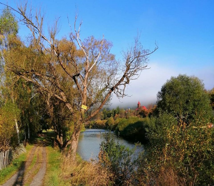 Vremea în Transilvania