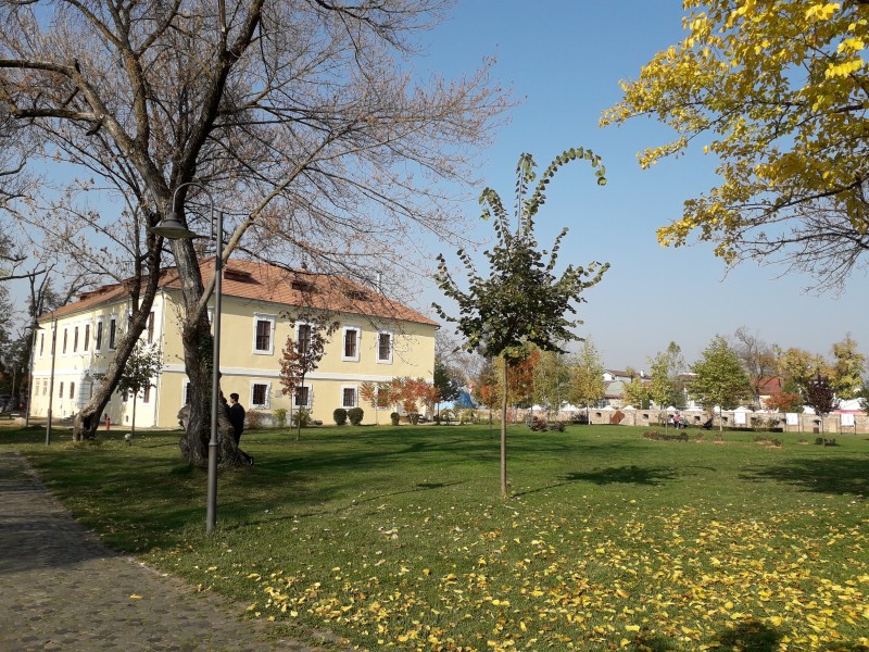 Vestigii din Epoca Bronzului şi Epoca Romană, descoperite în Cetatea Târgu Mureş