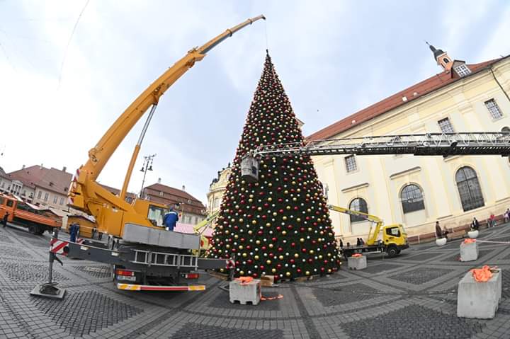 Primăria Sibiu a amplasat un brad de Crăciun, artificial, care a costat peste 600.000 de lei Primăria Sibiu a amplasat un brad de Crăciun, artificial, care a costat peste 600.000 de lei
