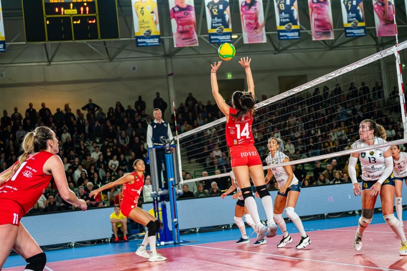 Volei european la Tg.-Mureș