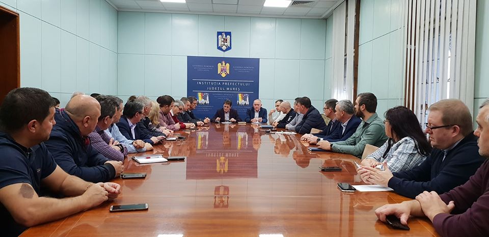 A fost confirmată oficial prezența pestei porcine africane la Archita, în judeţul Mureş
