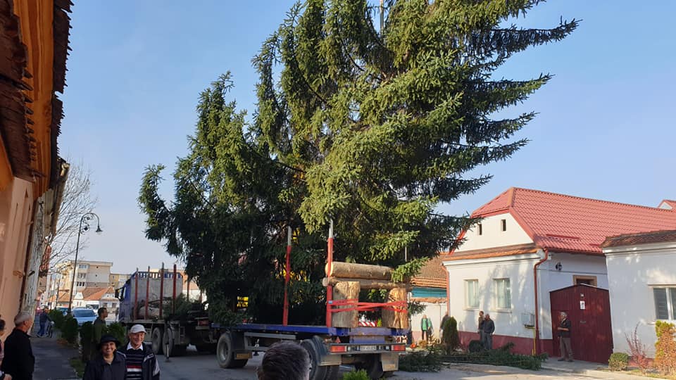 (AUDIO) Râșnovul se pregătește să intre în atmosfera sărbătorilor de iarnă