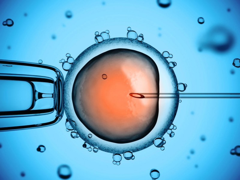 Guvernul intenționează să suplimenteze finanțarea programului de fertilizare in vitro Guvernul intenționează să suplimenteze finanțarea programului de fertilizare in vitro