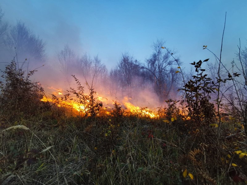 De mai bine de 30 de ore incendiul de litieră din localitatea Ohaba nu poate fi stins
