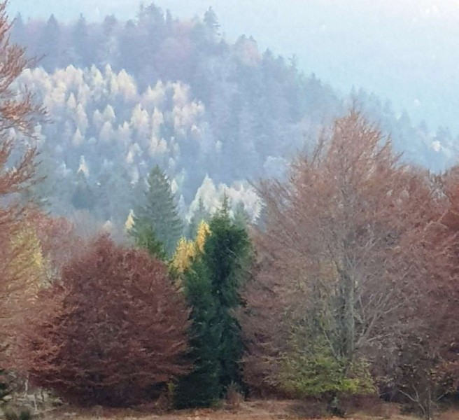 Vremea va fi caldã pentru aceastã perioadã