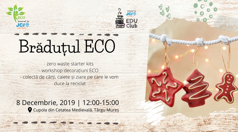 Brăduțul ECO, o alternativă la bradul natural