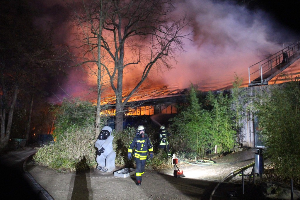 O femeie şi fiicele acesteia sunt anchetate în Germania după incendiul de la zoo Krefeld