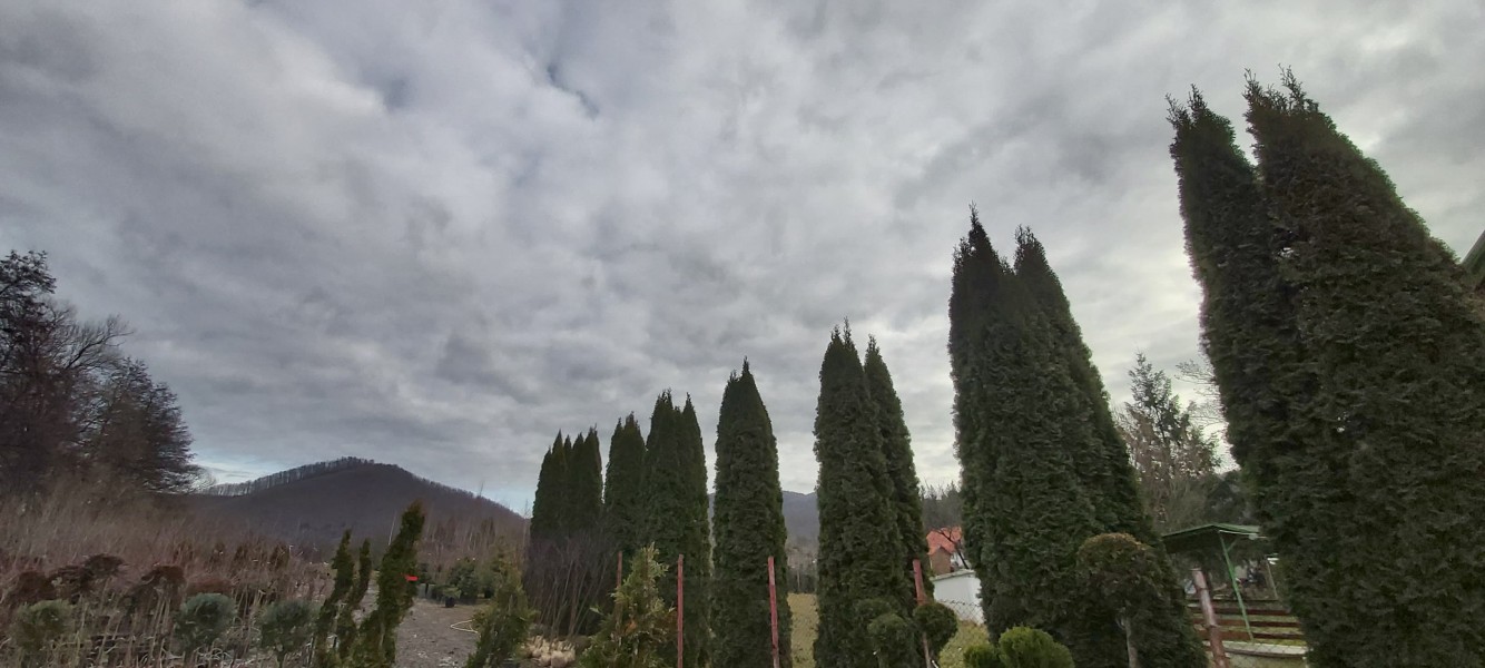 Prea cald pentru luna decembrie, în Transilvania