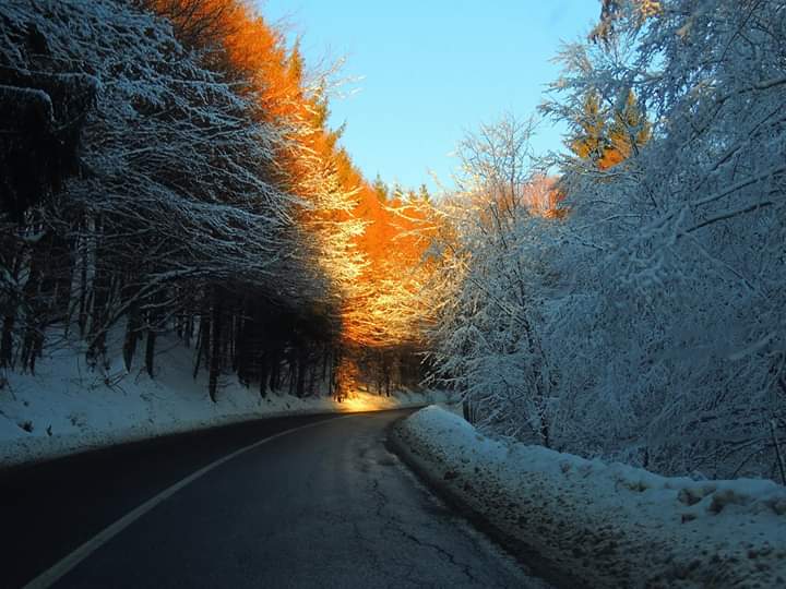 În Transilvania vremea va fi apropiatã de normalul termic al acestei perioade
