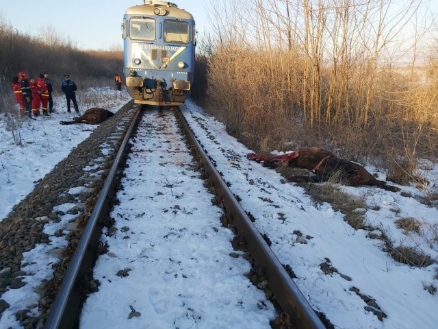 Traficul feroviar a fost reluat pe magistrala CFR 200 Traficul feroviar a fost reluat pe magistrala CFR 200