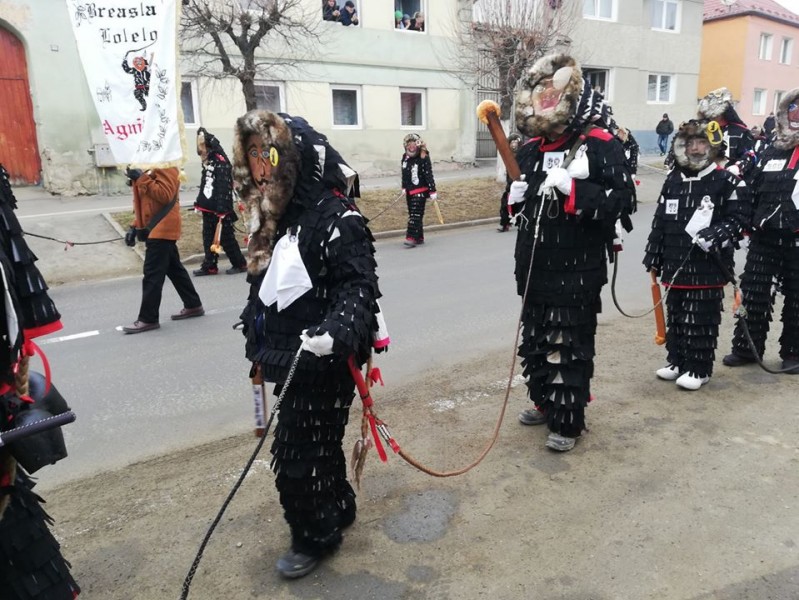 În oraşul Agnita din judeţul Sibiu are loc „Parada Lolelor”
