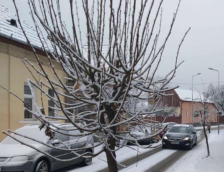 Vremea va fi închisã şi deosebit de rece pentru aceastã datã