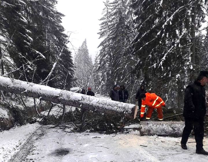S-a închis circulaţia pe DN 13B, din cauza căderilor masive de arbori