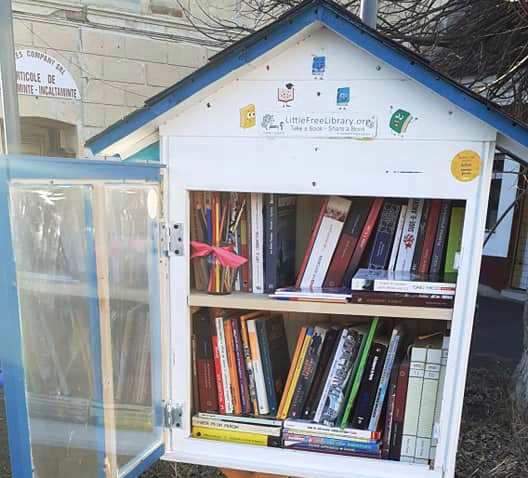 O comună din Brașov este prima din țară care are o bibliotecă înregistrată la nivel mondial