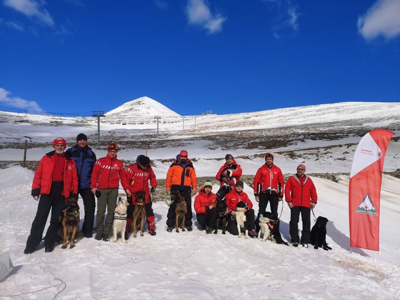 Salvamont România: Toate unităţile canine de intervenţie în avalanşă au promovat examenul de evaluare susţinut la Rânca