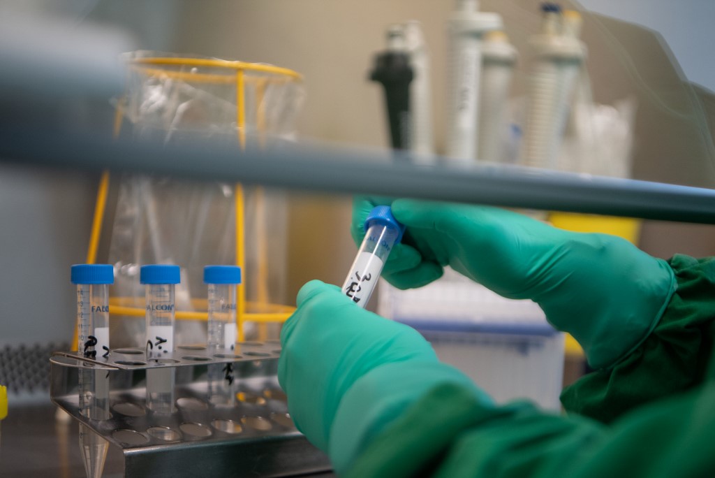 597 de cazuri de persoane infectate cu COVID–19, în Mureș