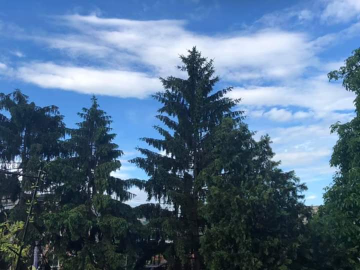 Meteorologii anunţă că de mâine seară, vremea se îndreaptă în mare parte din ţară
