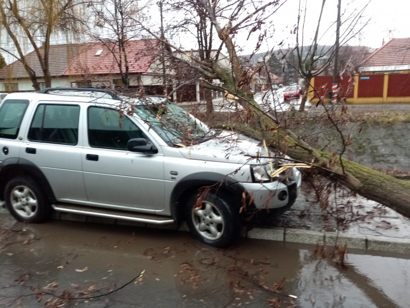 Ploaia torențială a creat probleme în Mureș