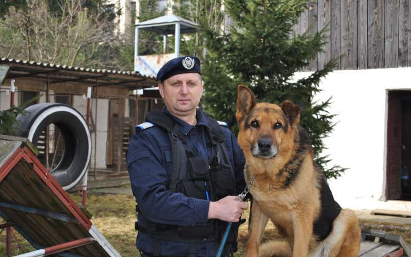 Harghita: Câinele-jandarm Mol a fost trecut în rezervă