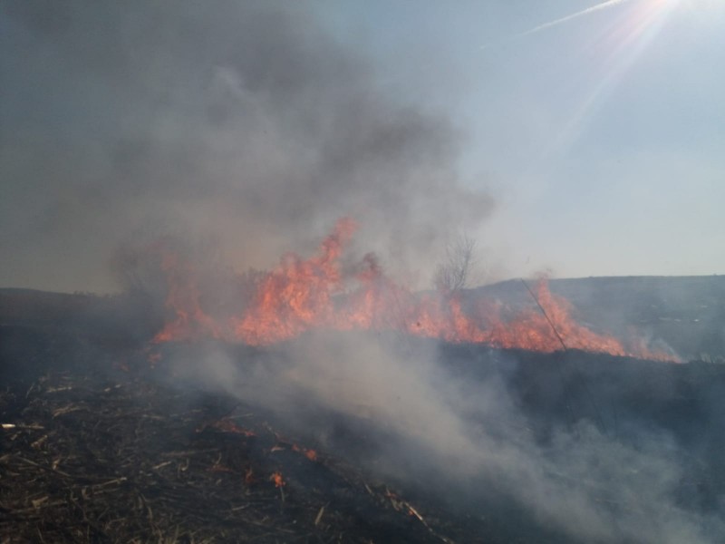 Șeful Gărzii de Mediu: incendierea miriștilor a ajuns ”sport național”