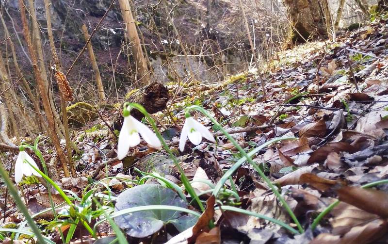 Vremea va fi mai caldã decât normalul termic al perioadei, în Transilvania