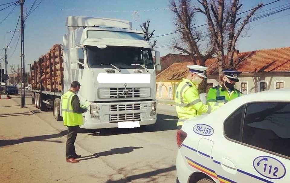 300 mc de lemn confiscat de Garda Forestieră Brașov