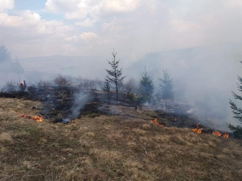 Incendiu de vegetație în zona Gheorgheni