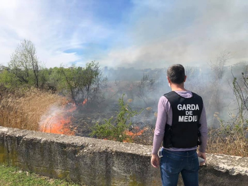 Amenzi de peste 14,7 milioane de lei aplicate de Garda de Mediu
