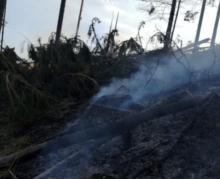 Incendiu în interiorul unei păduri din Bistra Mureșului