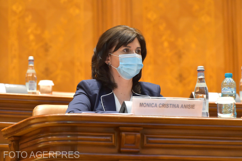 Deputaţii votează astăzi moţiunea simplă inițiată de PSD și Pro Europa împotriva ministrului educației, Monica Anisie