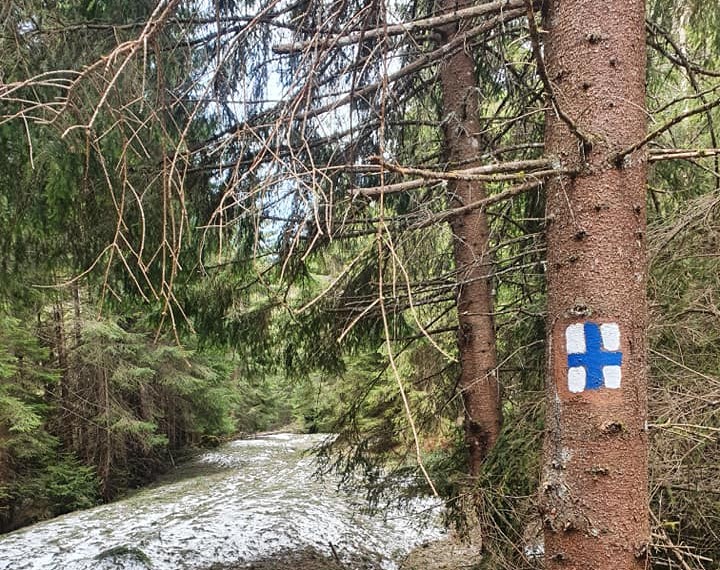 Peste 40 de trasee montane curățate de salvamontiştii mureșeni