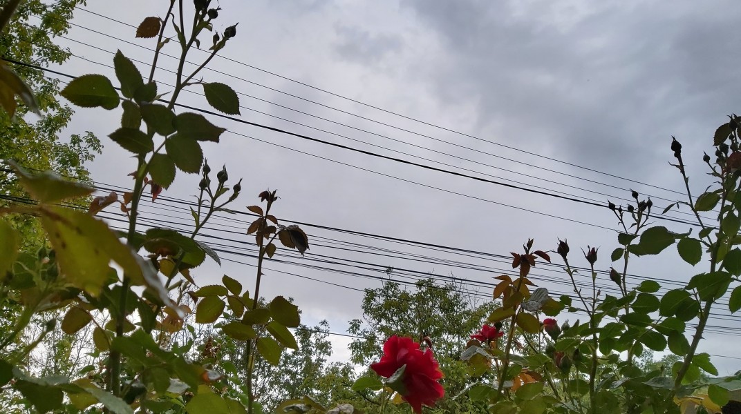 Meteorologii au extins avertizările de vreme rea