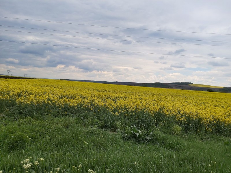 La Sfântu Gheorghe începe ediţia 31 a ‘Primăverii culturale’