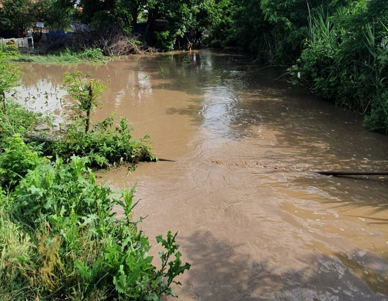 Alerte de inundații pe mai multe cursuri de apă, în urma precipitații lor din ultimele zile Alerte de inundații pe mai multe cursuri de apă, în urma precipitații lor din ultimele zile
