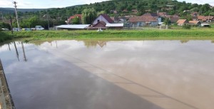 Foto: ABA Mures/Călin Fok