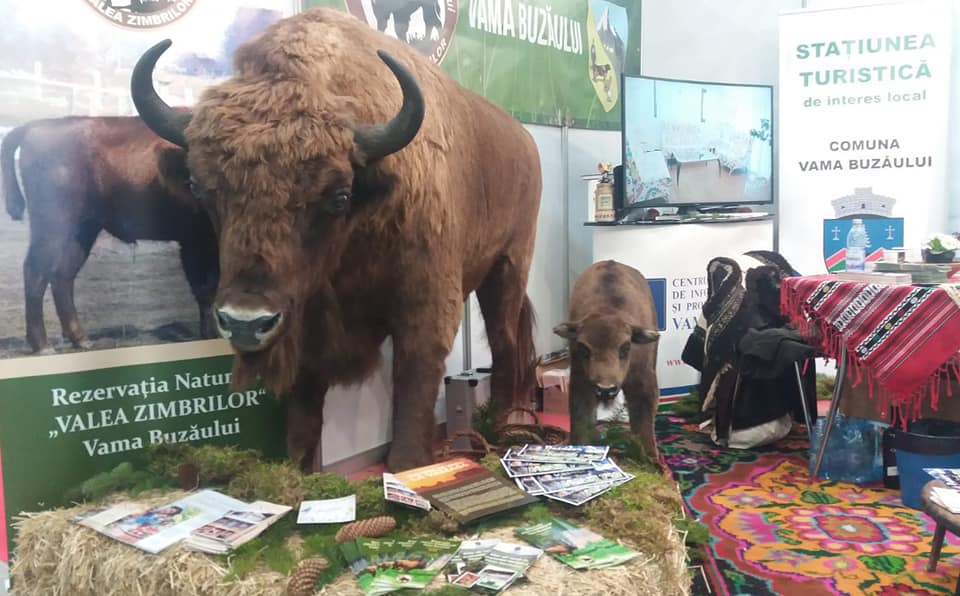 Număr record de turiști în Valea Zimbrilor din Vama Buzăului