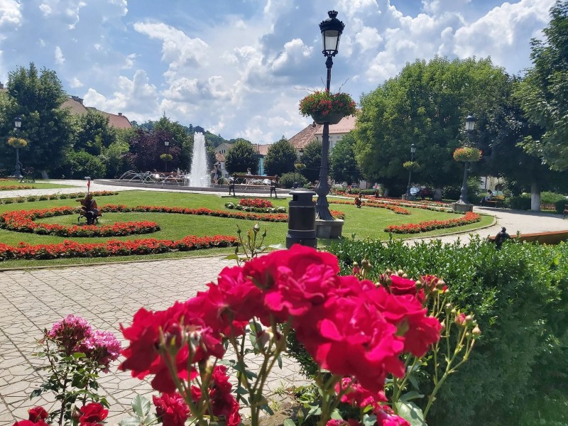 Vremea se încălzește în Transilvania