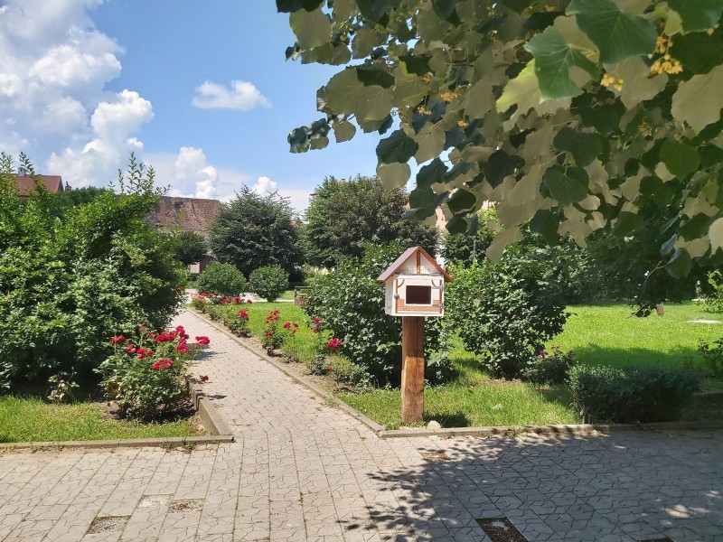 Vreme frumoasă, în Transilvania