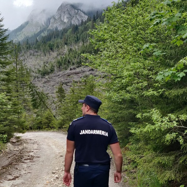 Numărul intervenţiilor jandarmilor harghiteni pentru alungarea urşilor, mai mic în 2022 faţă de anul anterior
