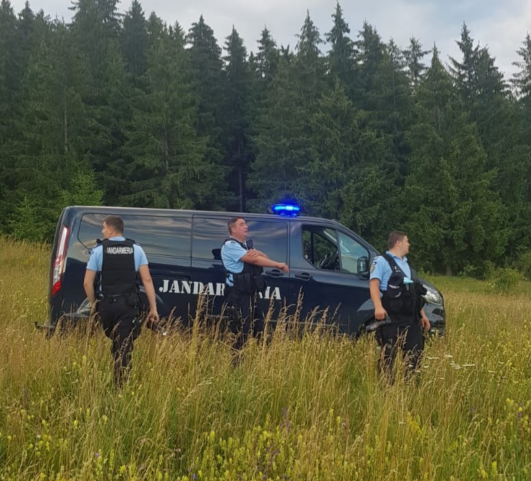 Harghita: Patru apeluri pentru îndepărtarea urșilor