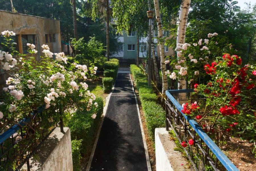 Cele mai frumoase balcoane şi spaţii verzi rezidenţiale, premiate de Primăria Sfântu Gheorghe