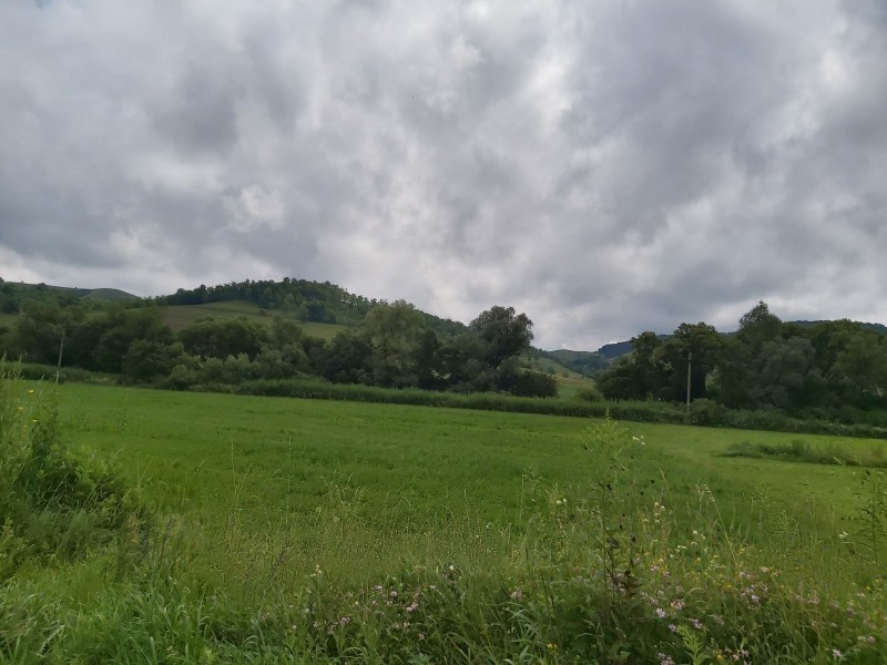 Informare meteo de intensificări ale vântului, precipitații și răcire accentuată