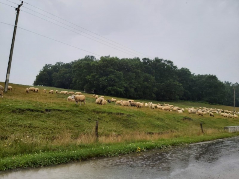 Informare meteorologică de vreme instabilă până vineri seară